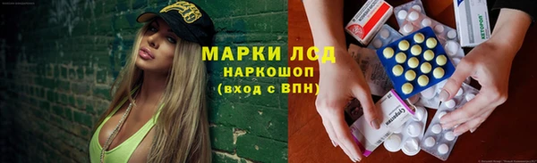 шишки Абинск
