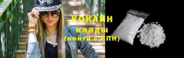 шишки Абинск