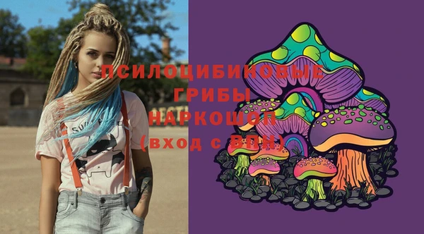 шишки Абинск