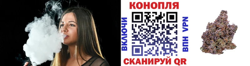 Конопля OG Kush  Болотное 